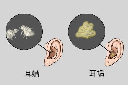 外观不同图