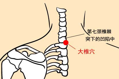 大椎穴位置图