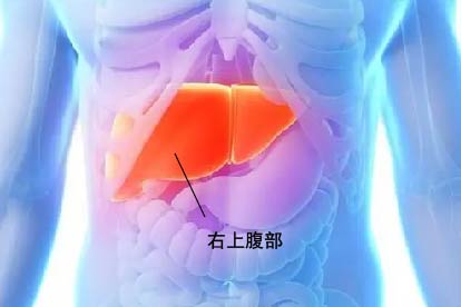 肝疼一般是哪里疼图解