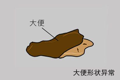 拉痢疾大便形状异常图片