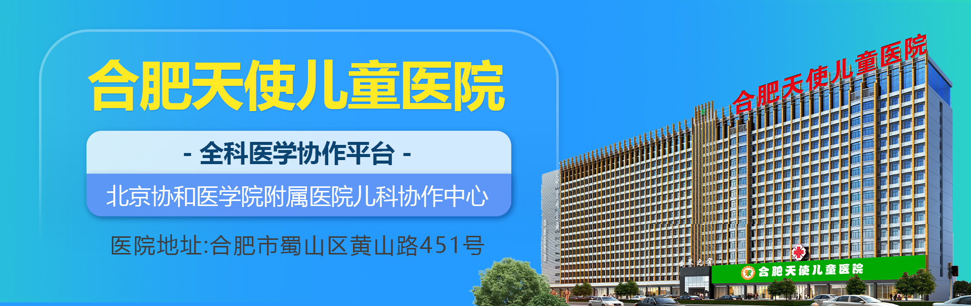 主页头部