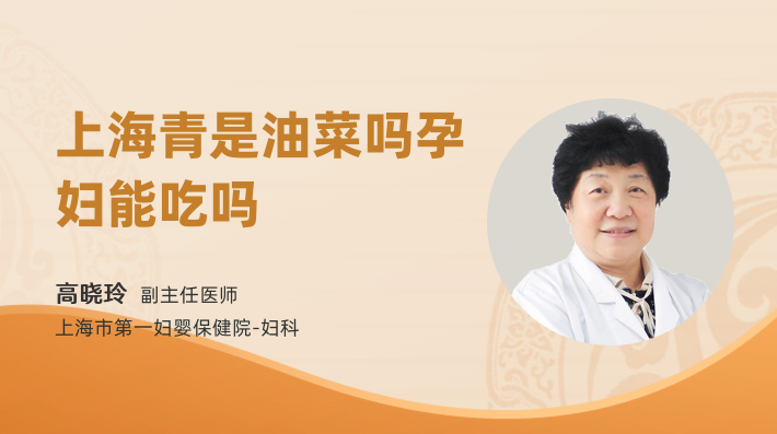 上海青是油菜吗孕妇能吃吗
