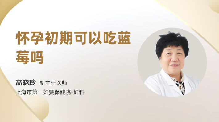 怀孕初期可以吃蓝莓吗