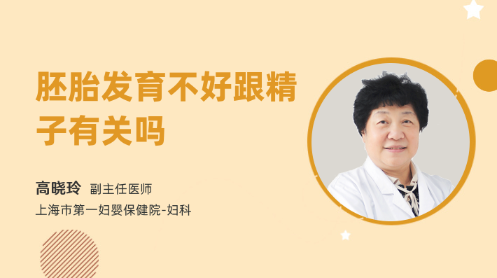 胚胎发育不好跟精子有关吗
