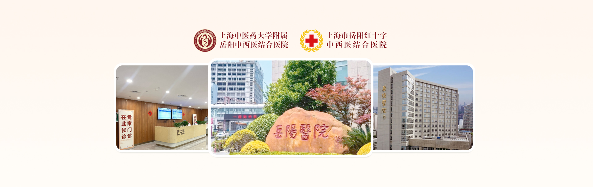 上海中医药大学附属岳阳中西医结合医院 banner