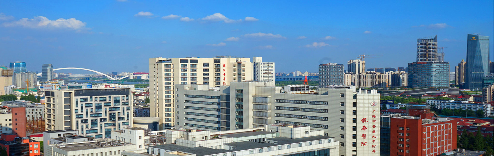 上海中医药大学附属龙华医院 banner