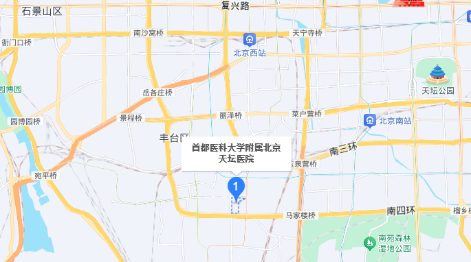 地图
