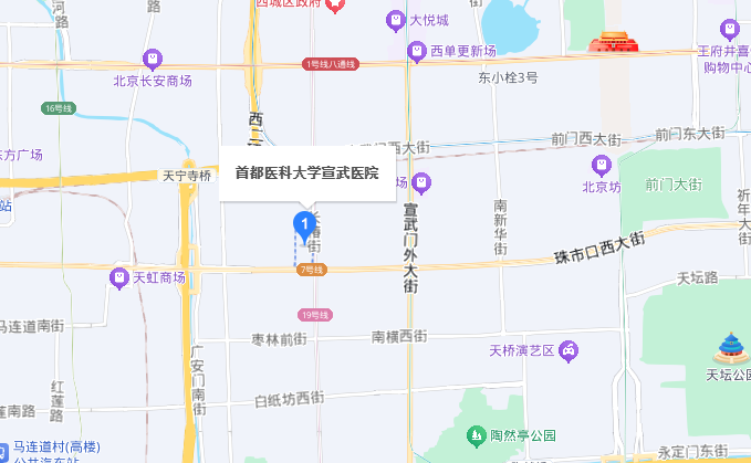 地图