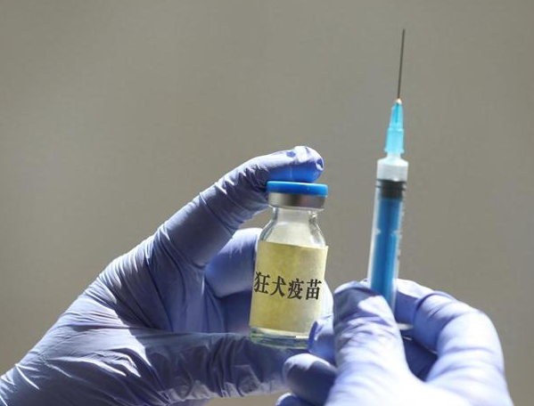狂犬疫苗要打几针