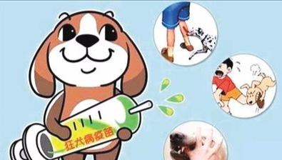 打狂犬病疫苗的患者可以吃牛肉吗